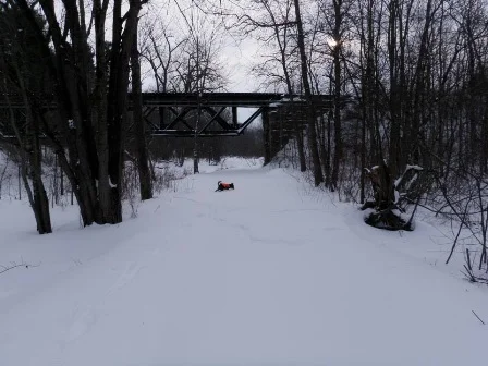 Ausable Marsh