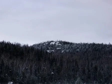 Weston Mtn