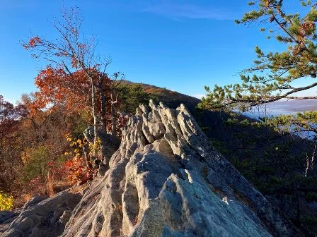 Buzzard Rock