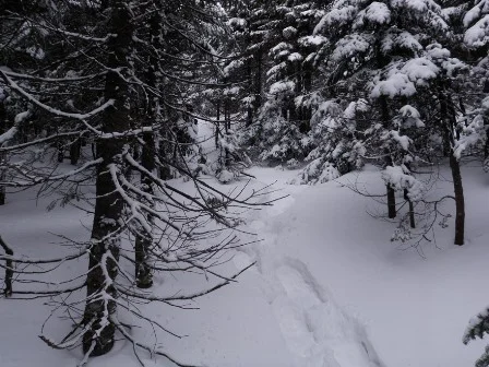 Gray Peak (37)