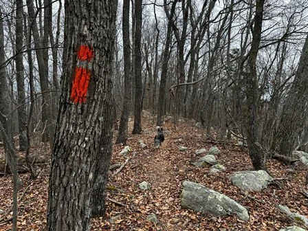 Massanutten Loop Trail (In Progress)