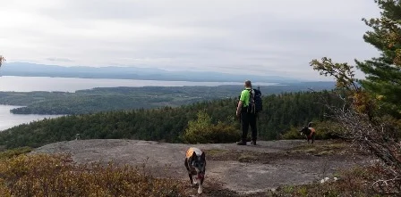 Rattlesnake Mountain
