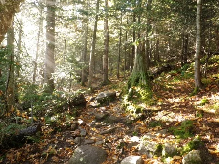 Lyon Mountain