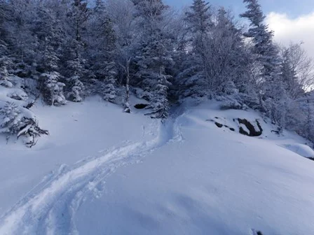 Mt Vanhoevenberg