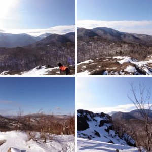 Owls Head Lookout