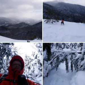 Rooster Comb Mtn