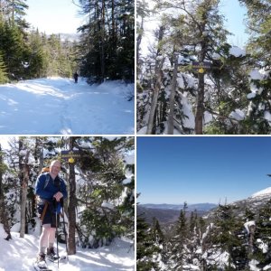 Marshall Mtn.