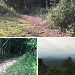 Bolar Fire Tower