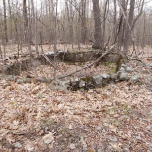 P4300029