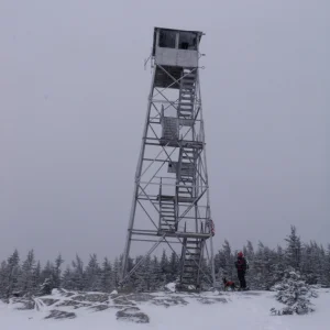 P3090010
