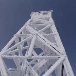 P2050047