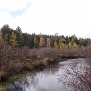 PA190046