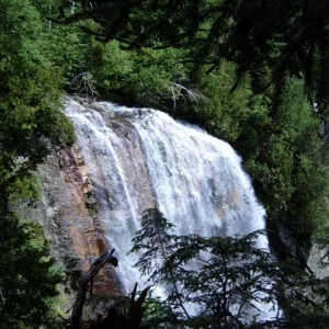 Summer_2005_040_2_