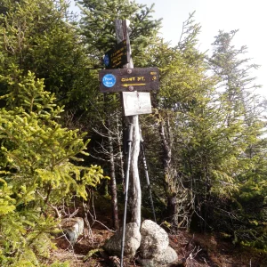 PB240003