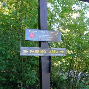 P1010138