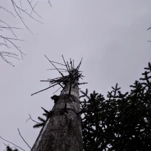 P1010001
