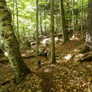 PA010007