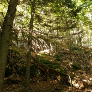 PA010008