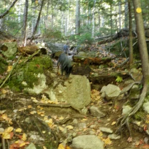 PA010014