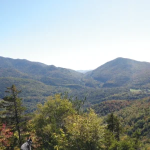PA010017