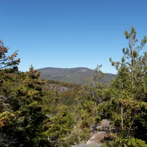 PA010020