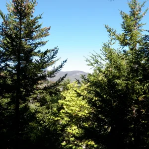 PA010024