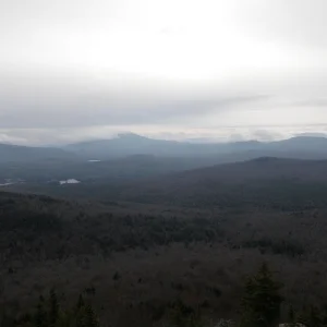 PB010017