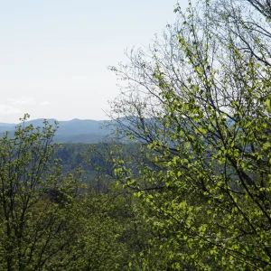 P5230015.jpg