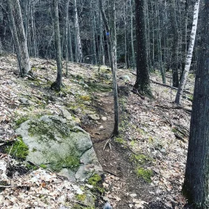 Image-10.jpg
