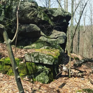 Image-11.jpg