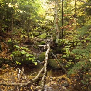 P9290004.JPG