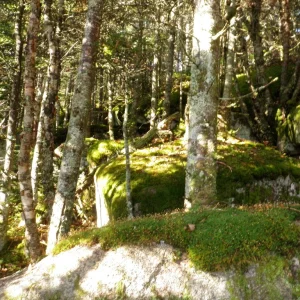 P9290015.JPG