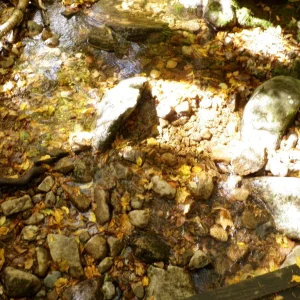 P9290026.JPG