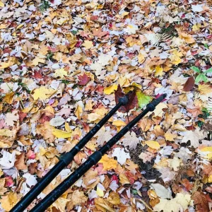 IMG_1324.jpeg