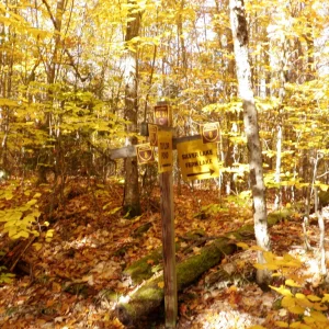 PA150018.JPG