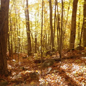 PA150019.JPG