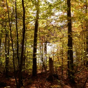 PA150021.JPG