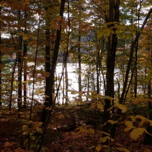 PA150022.JPG