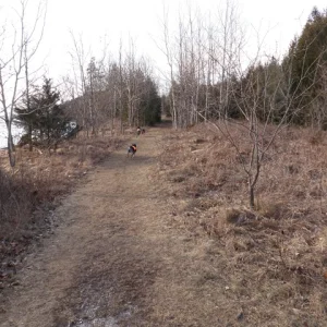 P1010002.jpg