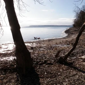P1010013.jpg