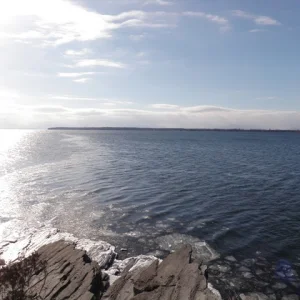P1010016.jpg