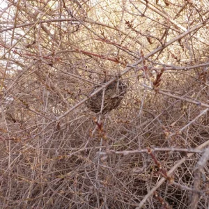 P1010023.jpg