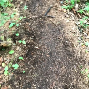 In motion