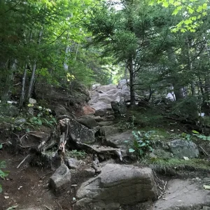First scramble
