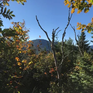 Hikers on Cascade