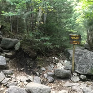 And we go up