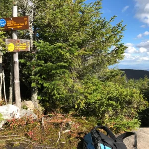 Junction break