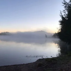 Morning fog