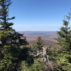 More views W