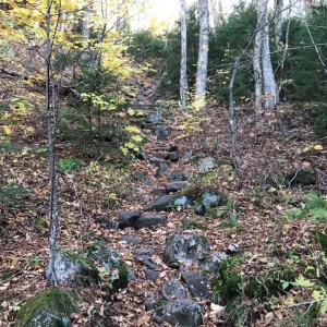 Stairway up